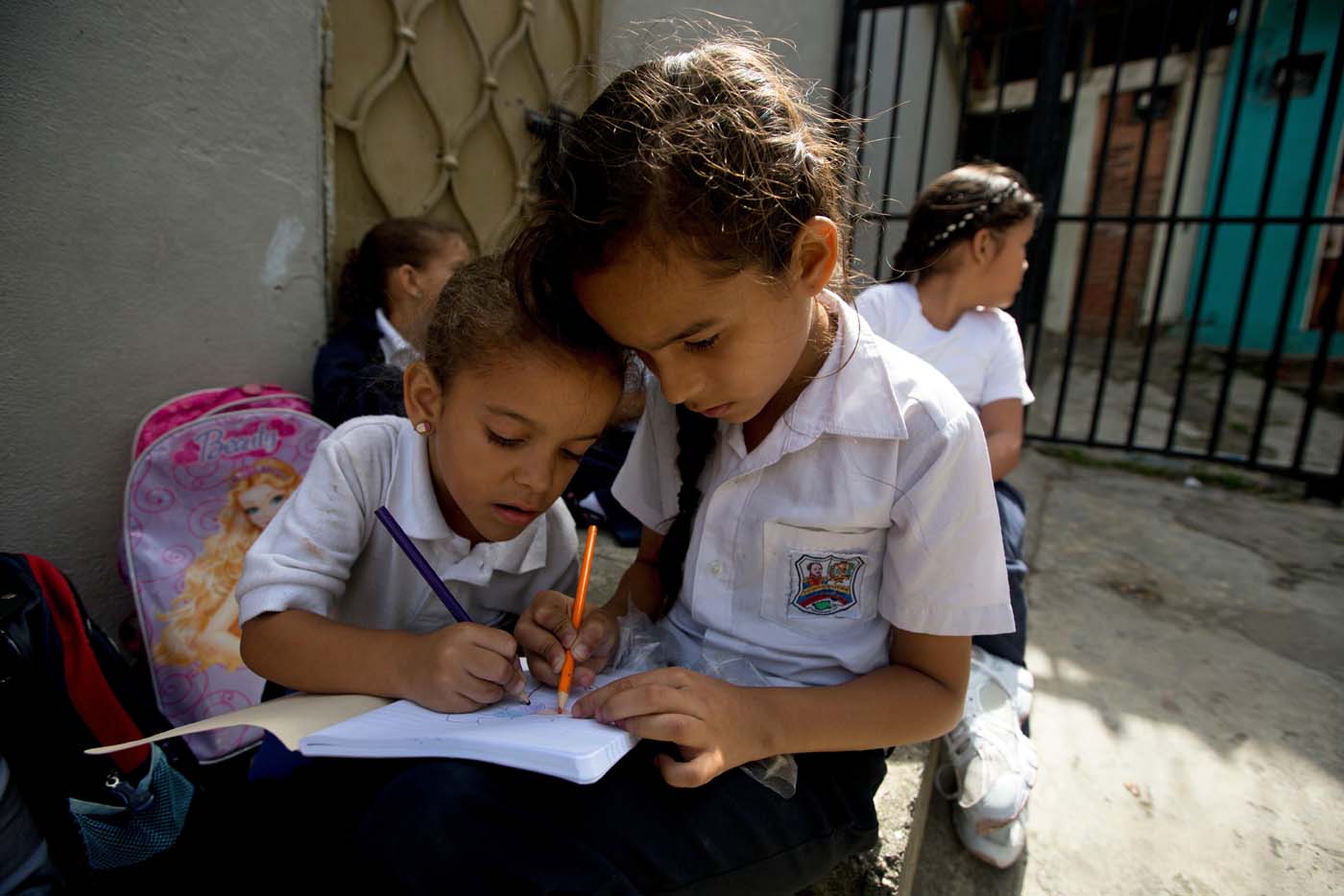 Artistas latinoamericanos donan obras de aves migratorias en apoyo a la educación infantil