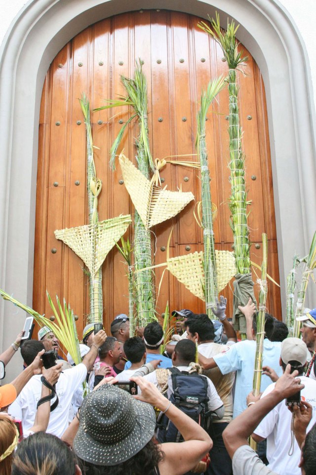 BajadaPalmerosdeChacao-(10)