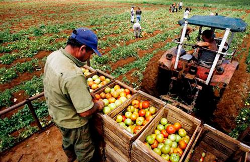 Aseguran que empresa privada distribuye 90% de lo que consumimos