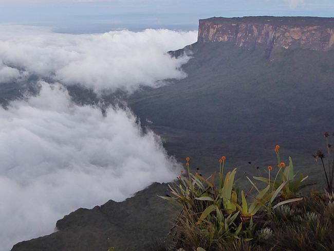 Foro #EcoturismoenVzla: Tenemos una geografía que se presta para el turismo sostenible