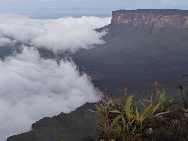 El Roraima es una montaña sorprendente / Foto W.. Hatton