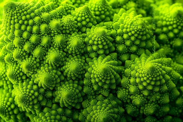 Romanesco (hibrido de brocoli y coliflor)