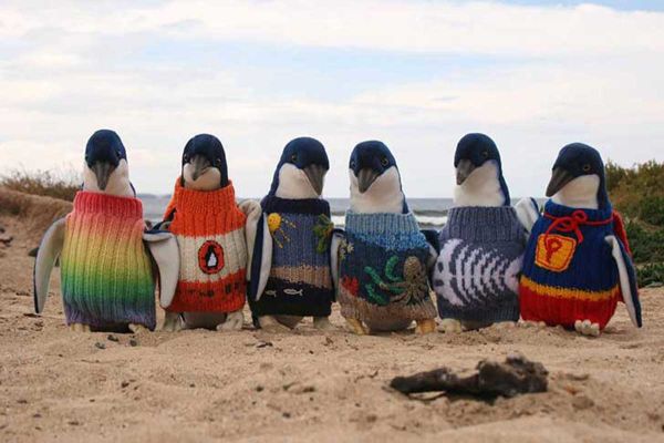 Un hombre de 109 años teje suéteres para rehabilitar pingüinos (Fotos)