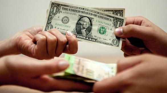 Dolarización y teoría macroeconómica: El caso venezolano