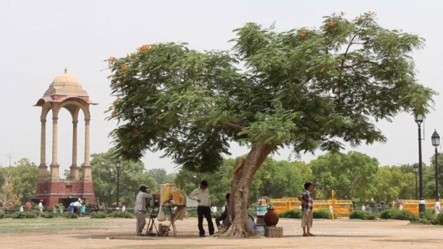 muertos en India calor