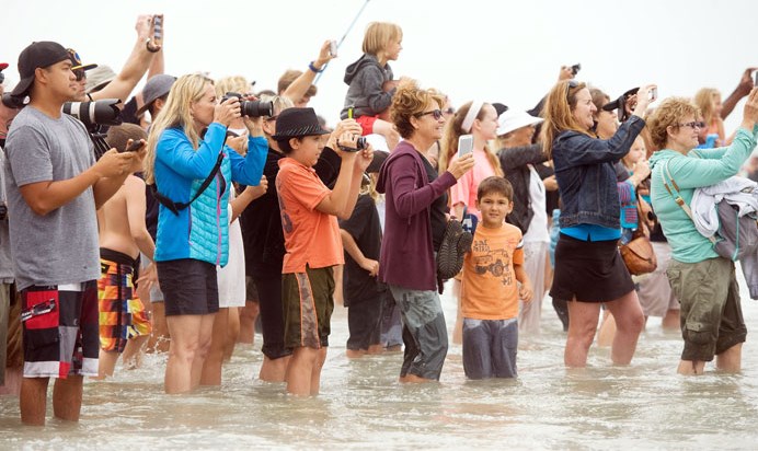 ¡WTF! 66 personas utilizaron una sola tabla para surfear (Fotos)