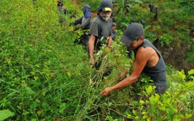 Foto: El Espectador