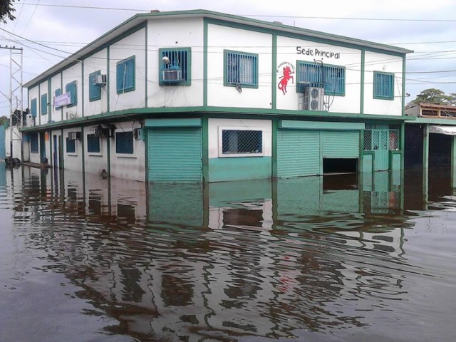 Foto prensa