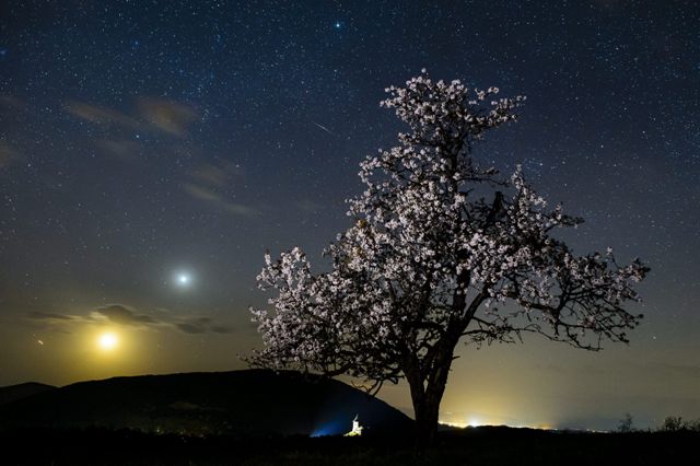 La danza de los meteoros podrá verse toda esta semana