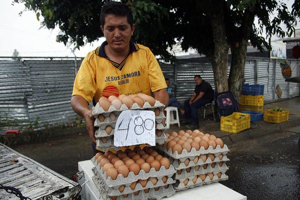 (foto Carlos Eduardo Ramirez)