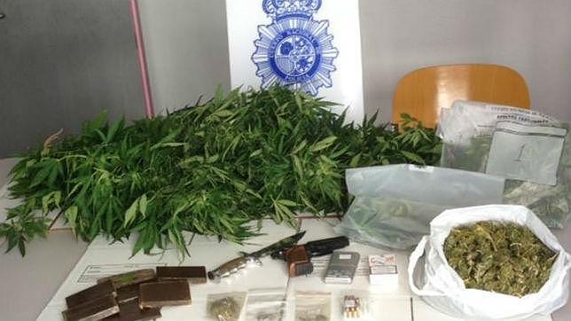 Decomisan 12 toneladas de marihuana en campamentos clandestinos en Paraguay