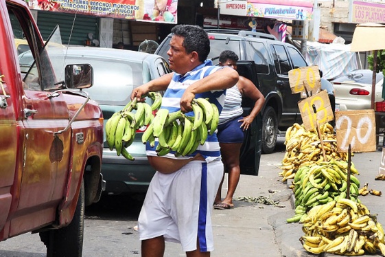 platanos-caros.jpg_1813825294