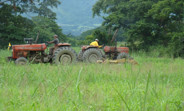 Fedeagro