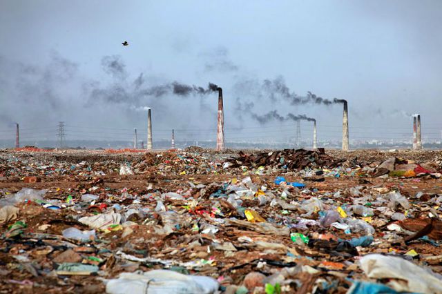 WWF: Relación de la raza humana con la naturaleza está al borde del precipicio