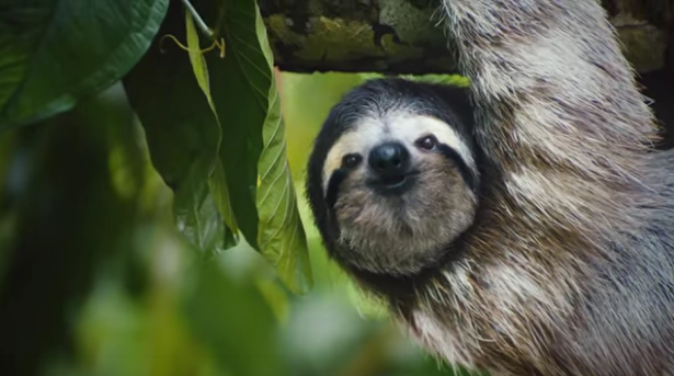 Video de Costa Rica participa en prestigioso concurso de la Organización Mundial de Turismo