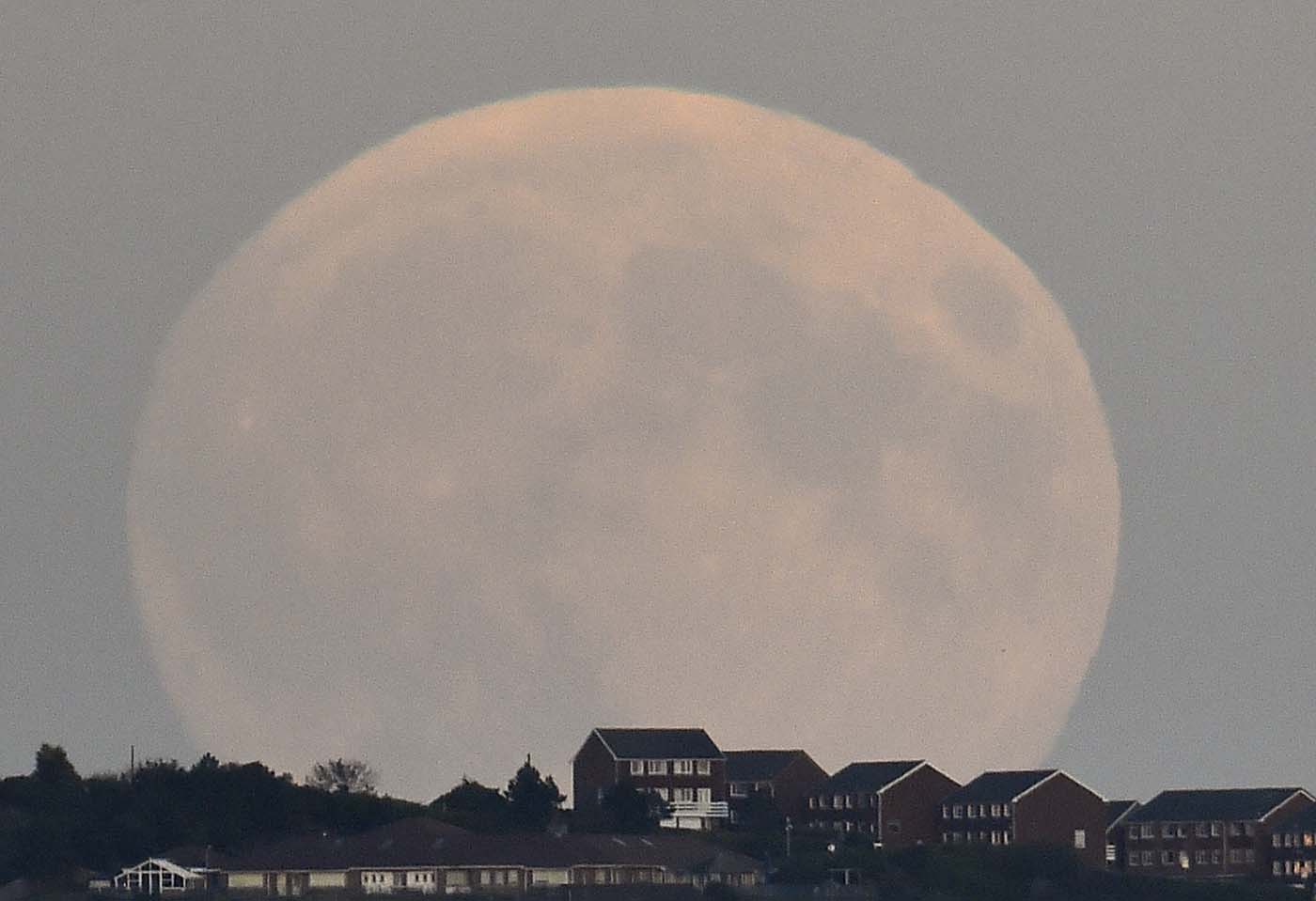 La superluna apareció en el cielo (espectaculares fotos)