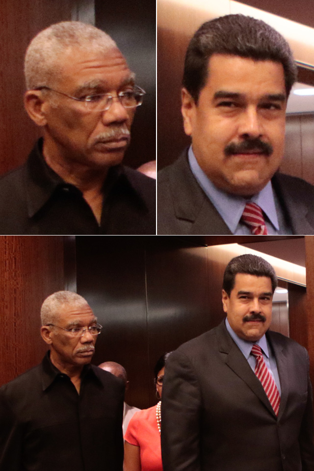 Granger-Maduro-AVN2