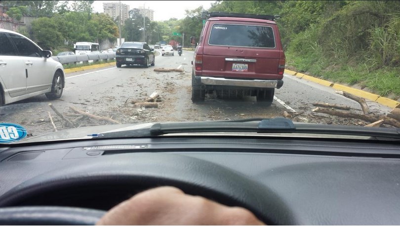 Reportan árbol caído en la Cota mil