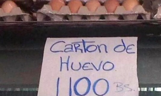 carton de huevo