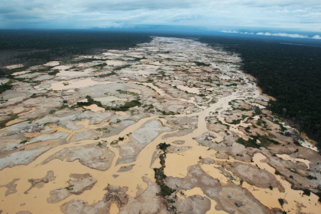 Foto: actualidadambiental.pe