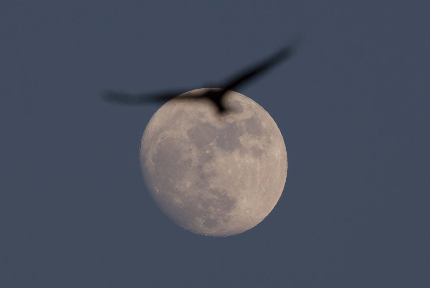 La luna llena que ilumina esta Navidad (fotos)