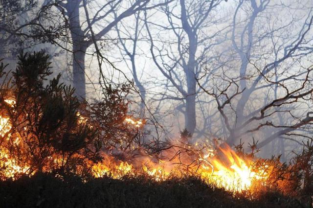 Fuego en los montes próximos a la localidad de Bárcena Mayor, Cantabria, comunidad con cerca de 80 incendios forestales declarados que ha activado esta madrugada el nivel 2 del INFOCANT, el plan de protección, lo que implica una situación de alerta máxima y la movilización de más medios externos para hacer frente a las llamas. EFE/Pedro Puente Hoyos