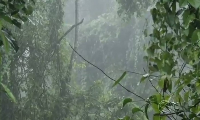 Dos muertos en caída de avioneta en Brasil