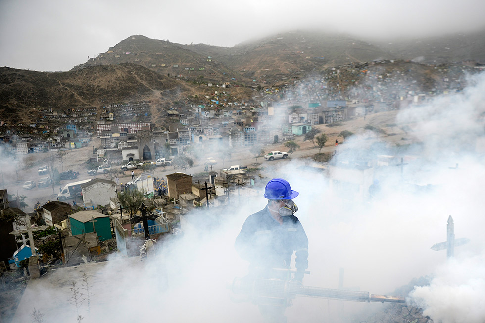 Estudio brasileño confirma que virus del Zika llega a placenta de gestantes