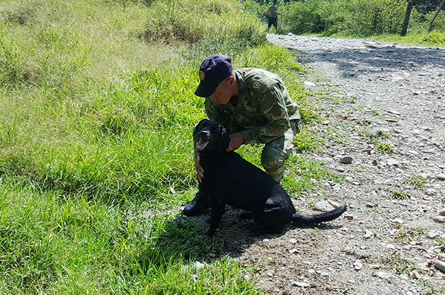 210116-azabache-canino-antiexplosivos