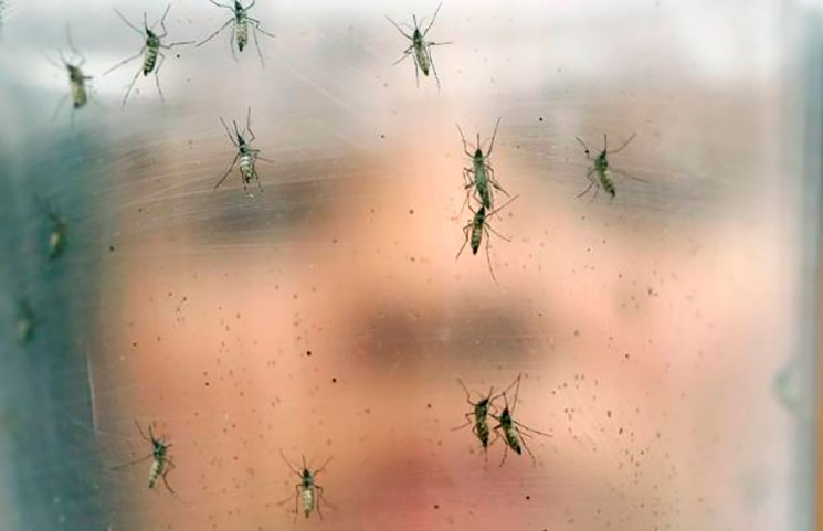 En Miami confirman Zika exportado de Venezuela