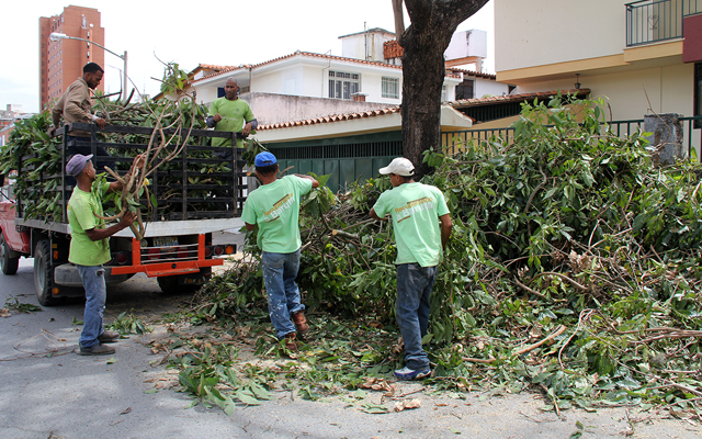 Alcaldía de Baruta arrancó planes de desmalezado, recolección de escombros y desechos vegetales