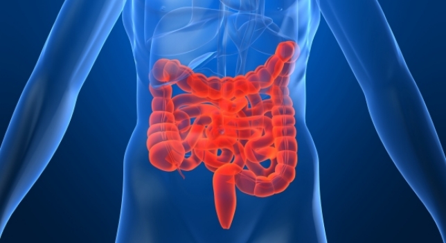 El cáncer de colon, ¿vinculado al desarrollo económico?