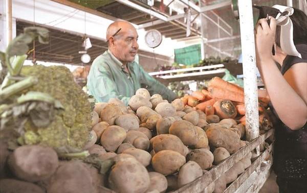 Productores siguen esperando por la semilla de papa