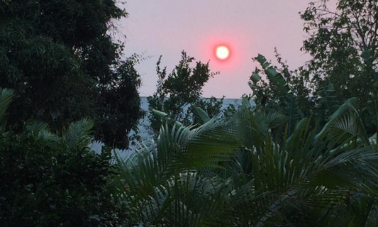 sol rojo caracas calima