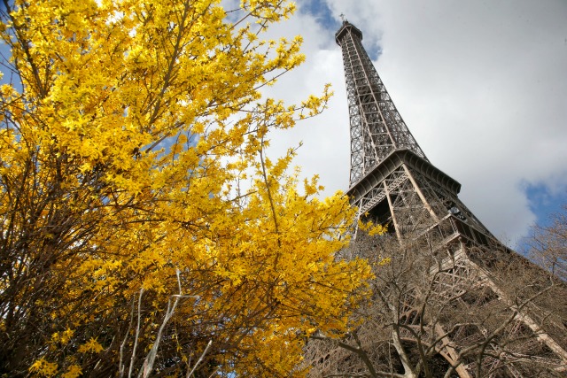 Fue a comer un sándwich a la Torre Eiffel, miró entre sus piernas y encontró algo aterrador (VIDEO)