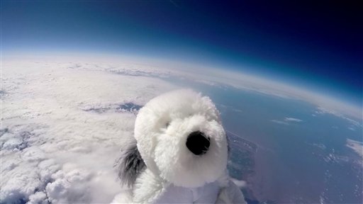 Perro de peluche alcanza la estratosfera