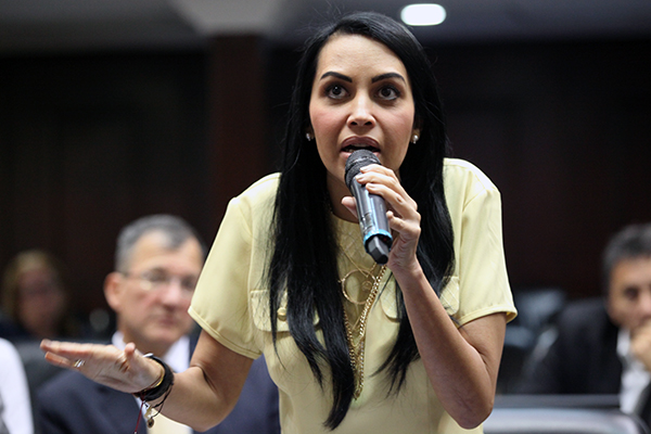 Foto diputada Delsa Solorzano 20160524