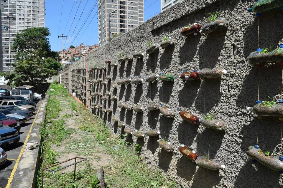 El Nuevo Herald: En Venezuela, el fantasma de la hambruna hace sembrar en los balcones