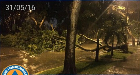 Fuertes lluvias dejaron dos árboles caídos en Chacao