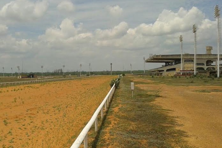 Hipódromo de Santa Rita en ruinas y con 19 caballos muriendo de hambre