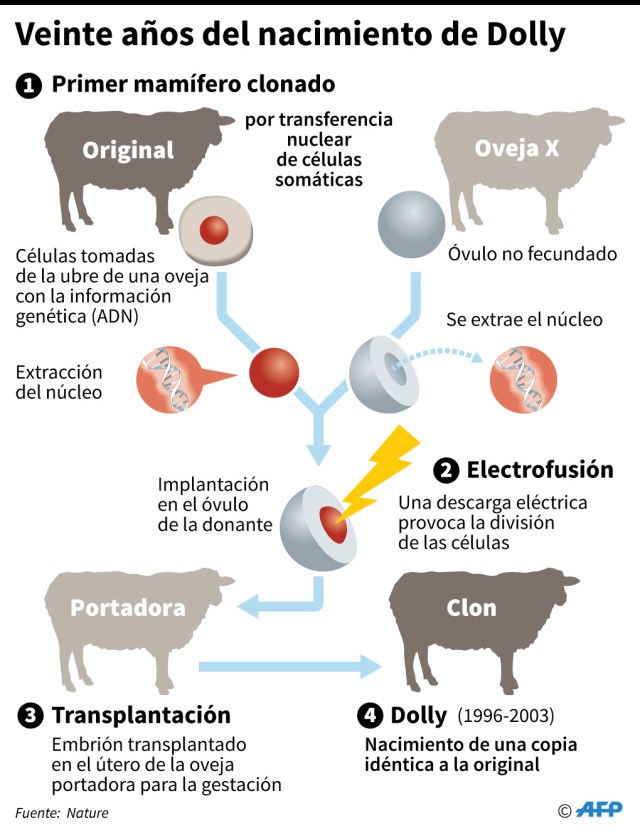 Gráfico: AFP