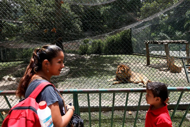 Zoologicos-Venezuela (10)