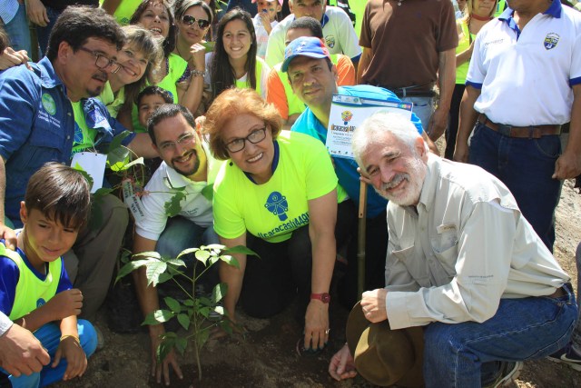 Árboles plantados en Baruta 