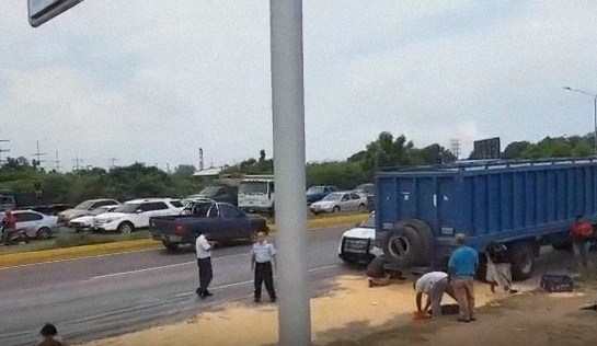 Se llevan maíz de consumo animal de camión que botó su carga en carretera de Zulia