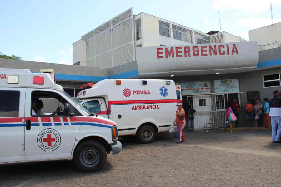 Yuca amarga hace estragos entre los habitantes de El Tigre