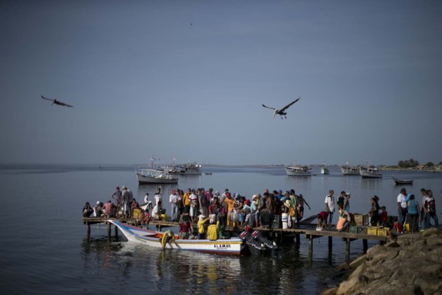 En esta imagen, tomada el 13 de septiembre de 2016, un grupo de personas espera en un muelle para comprar sardinas a pescadores en la zona de Los Cocos, en Porlamar, en la isla de Margarita, Venezuela. Algunos las comprar para comer, otros para revenderlas. . (AP Foto/Ariana Cubillos)