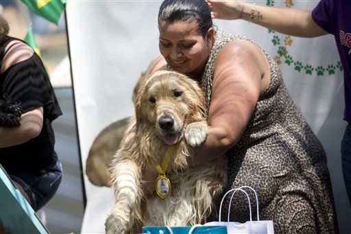 El can "Shimbalaie" ganó la medalla de oro en nado sincronizado durante los Juegos Olímpicos para Perros en Río de Janeiro, Brasil, el domingo 18 de septiembre de 2016. El dueño del parque para canes y organizador de las competiciones, Marco Antonio Totó, dice que su objetivo es la socialización de las personas y sus mascotas mientras practican deportes. (AP Foto/Silvia Izquierdo)