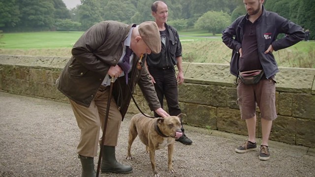 perro-solitario-freya-pelicula-transformers5-4