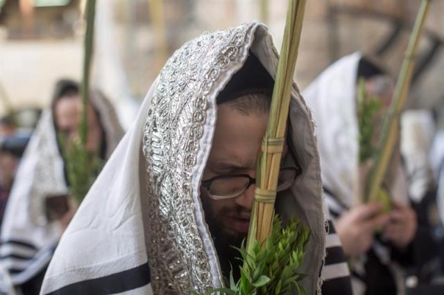 Miles de judíos ultraortodoxos rezan en el Muro de las Lamentaciones en Jerusalén, Israel, durante una de las celebraciones de la fiesta judía del "Sucot" (foto EFE / Abir Sultan)