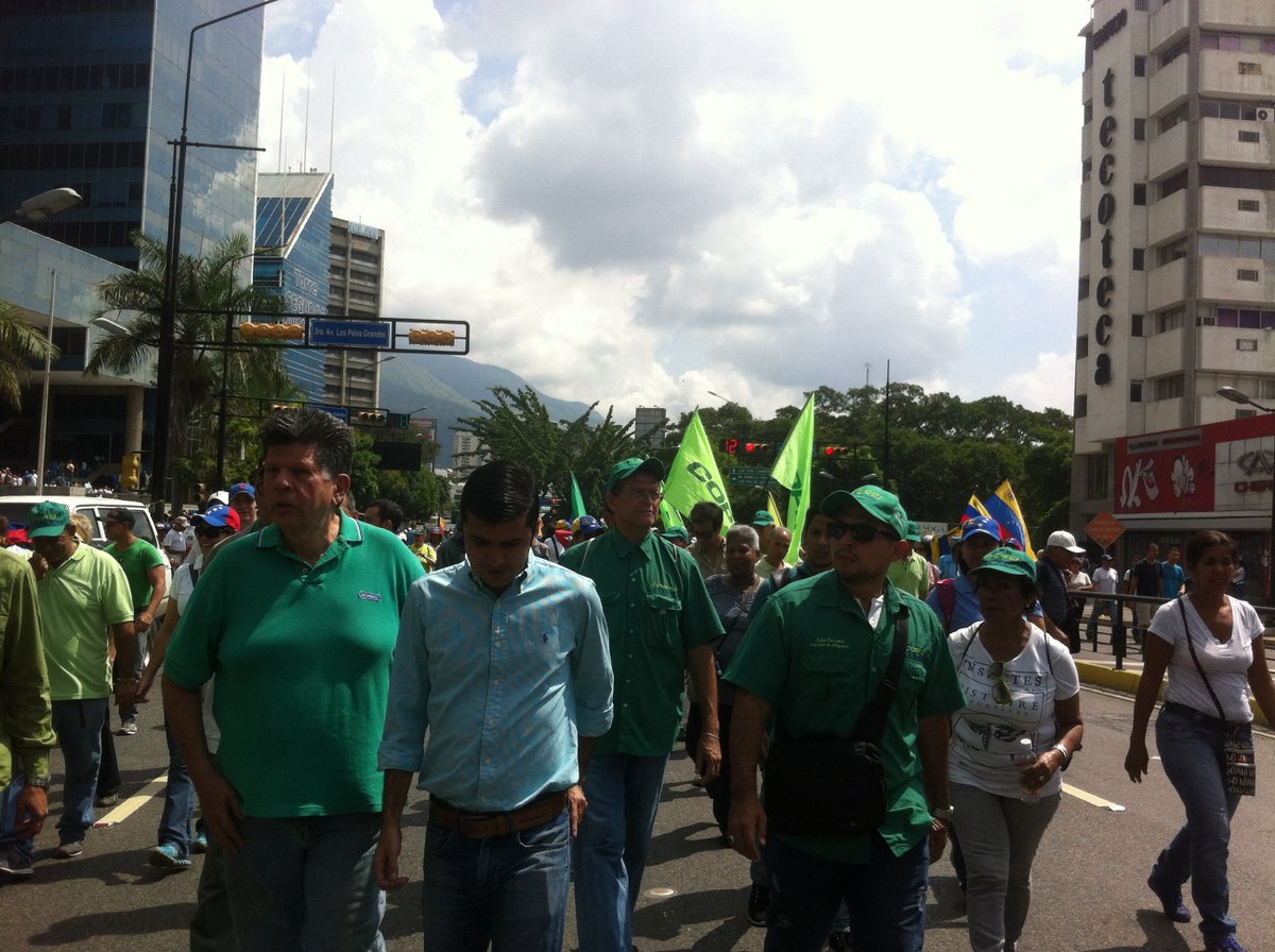 Copei: El pueblo en la calle hasta que se restablezca la Constitución